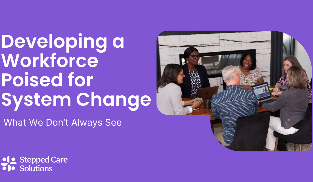 Developing a Workforce Poised for System Change: What We Don’t Always See
